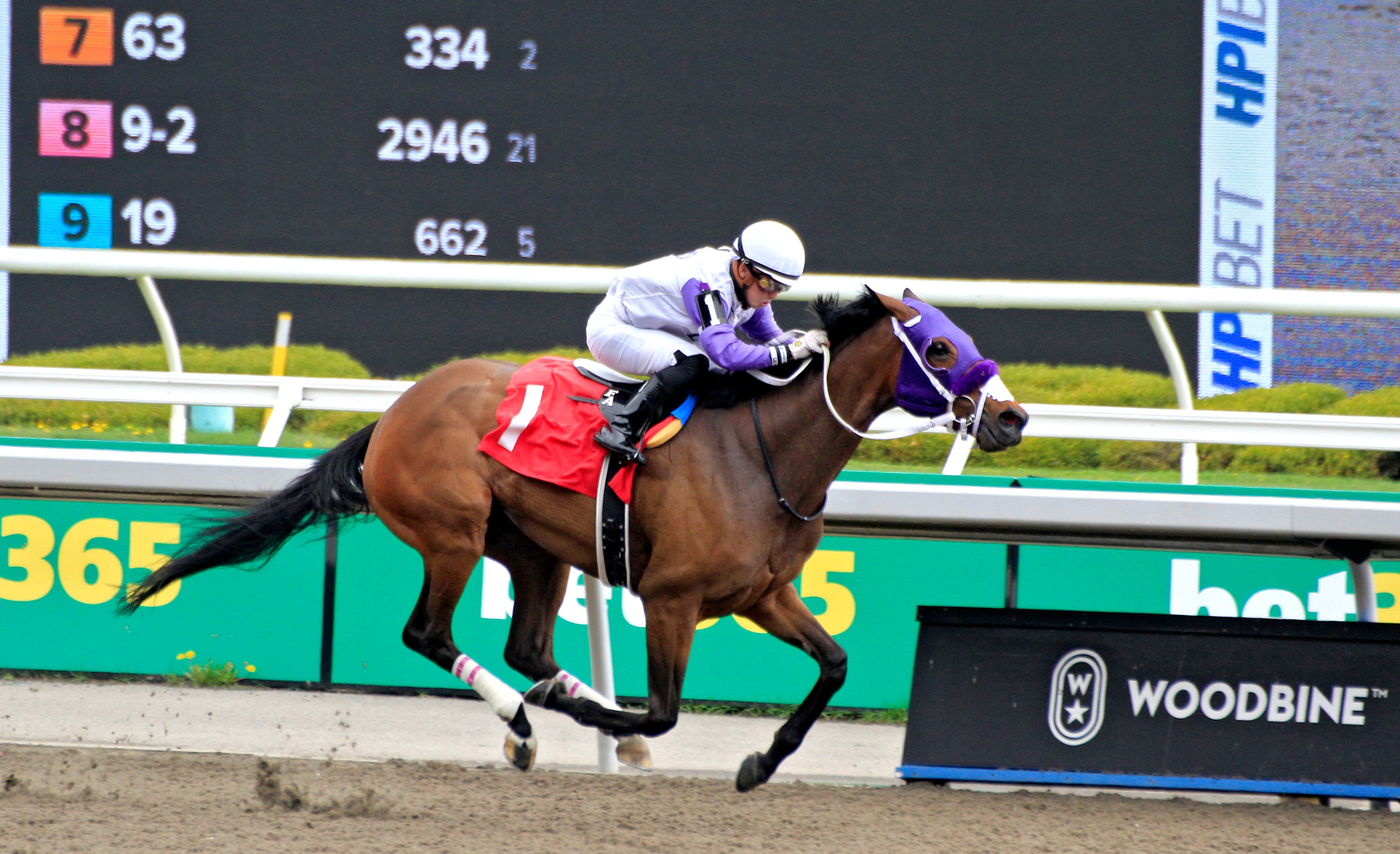 Jockey Fraser Aebly rides his horse Zoning Order across the finish line for a victory in the second race at Woodbine Racetrack in Toronto, Canada, on May 5, 2024. 