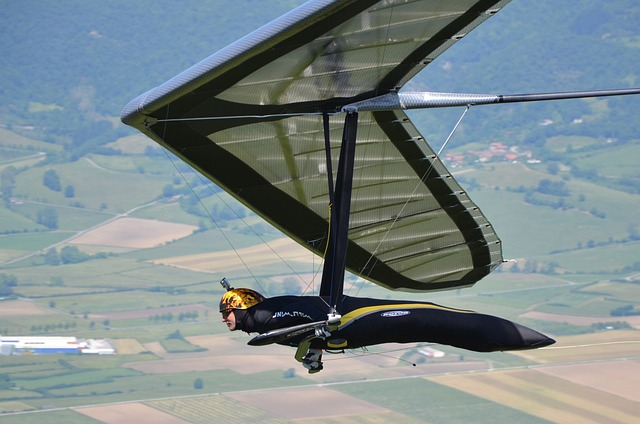hang gliding, delta-wing, meeting