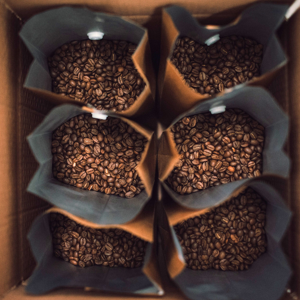 A person storing freshly roasted coffee beans