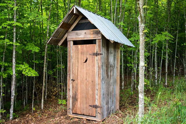 outhouse, bathroom, camping