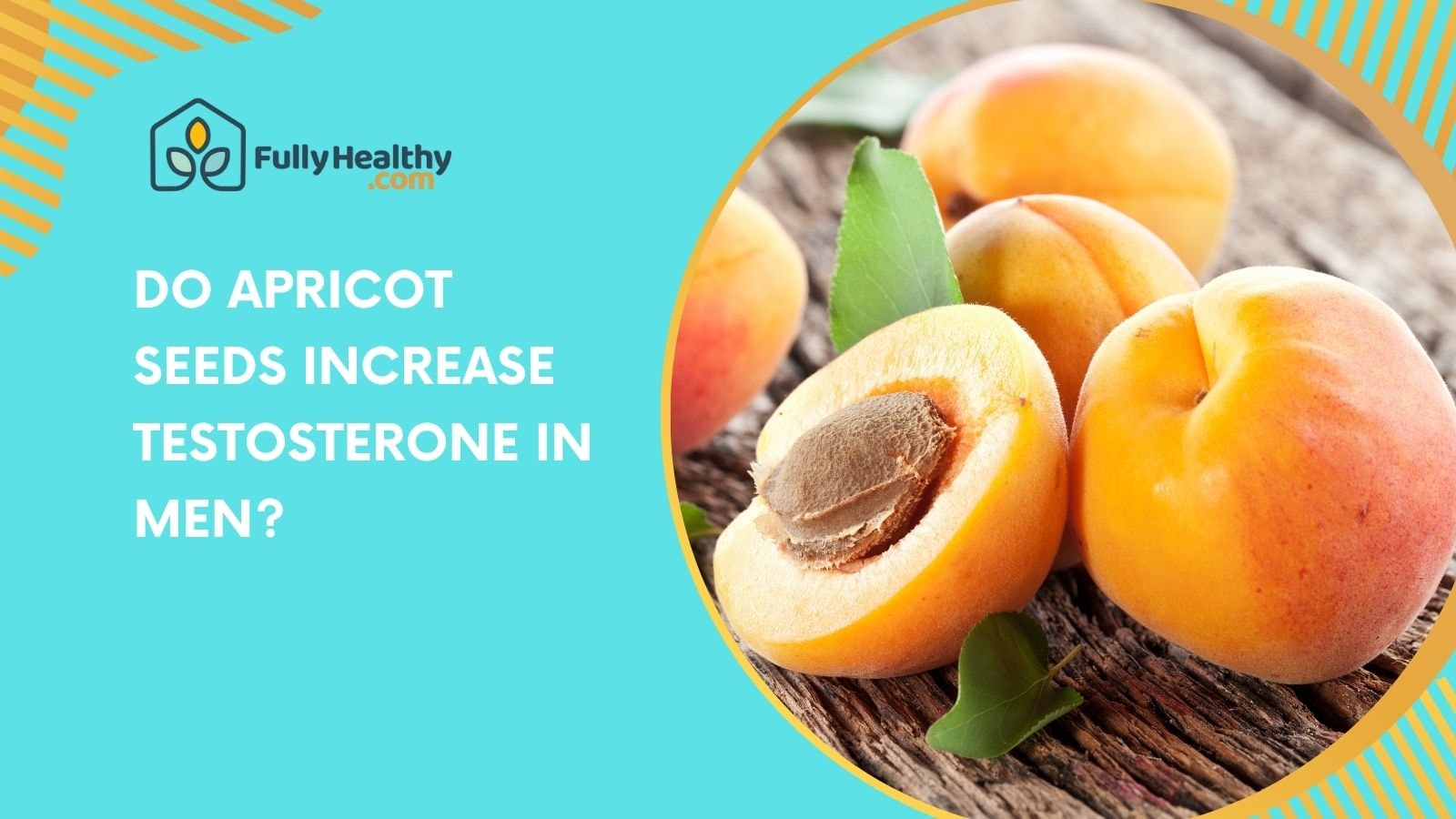 Do Apricot Seeds Increase Testosterone in Men?