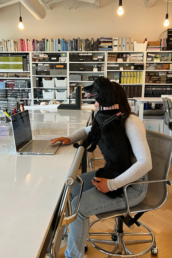 Designer seated at a glass table with a dog on her lap, working on a laptop in a materials library.
