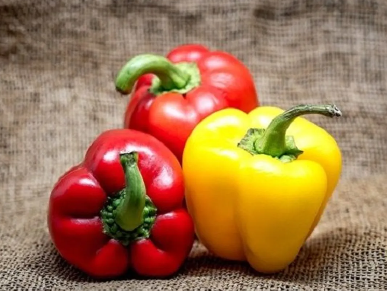 Capsicum