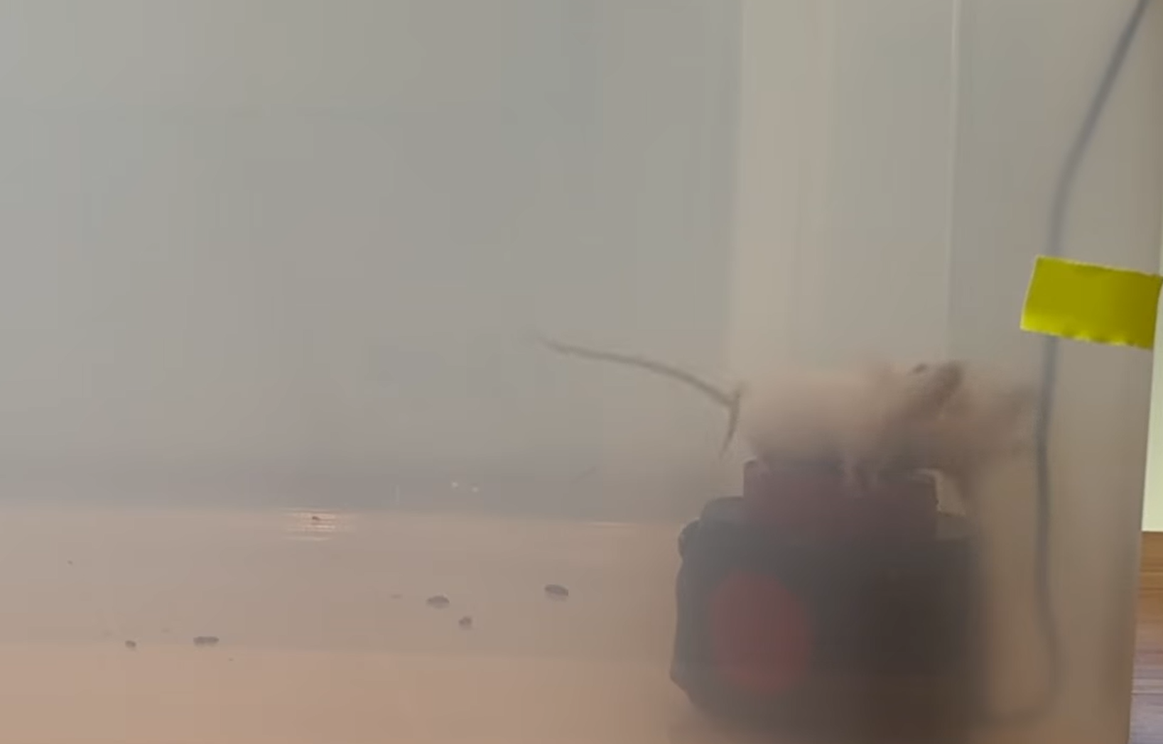 mice on top of the XMUNIHA ultrasonic rodent repeller