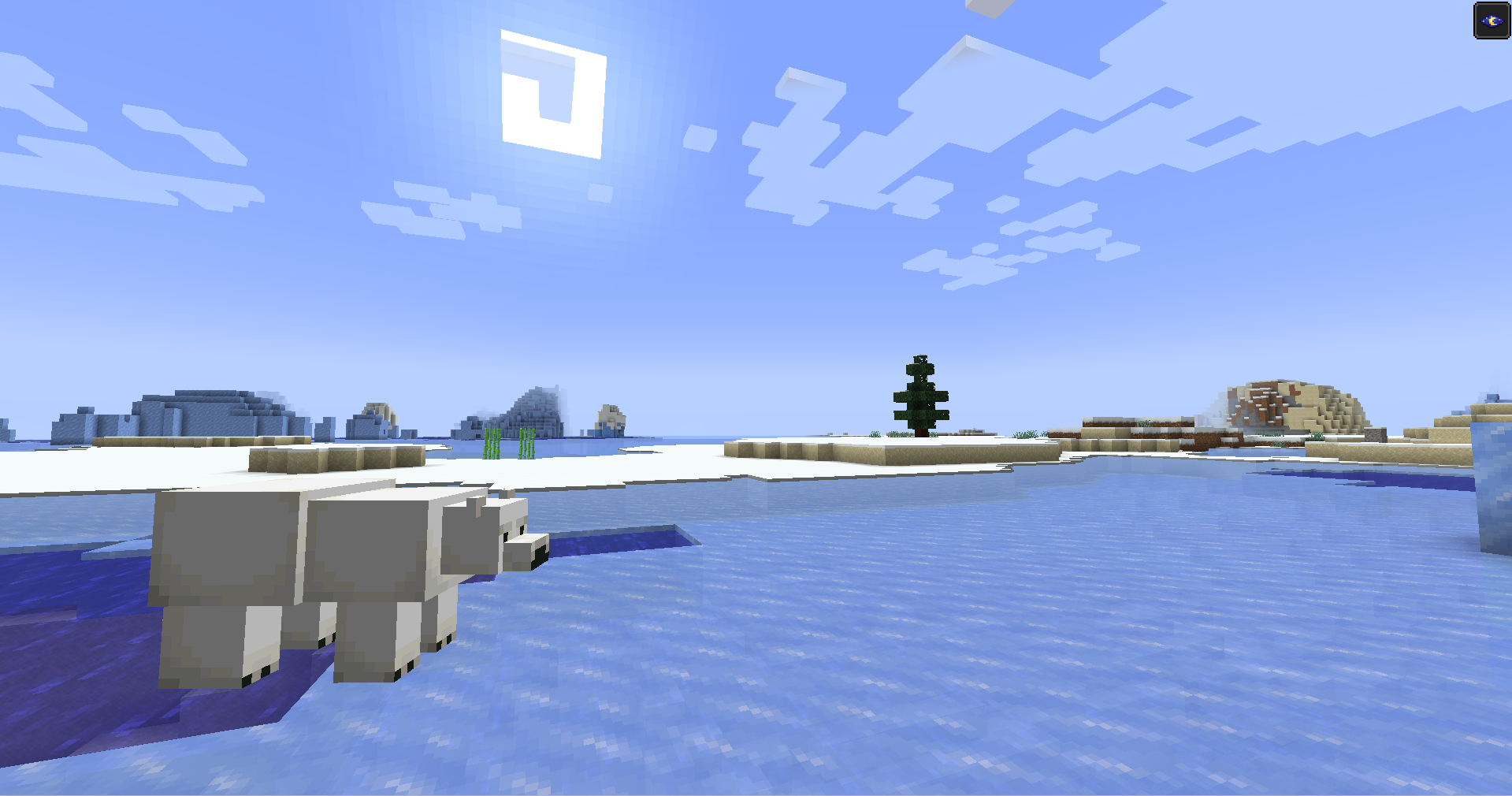 The Snowy Plains.