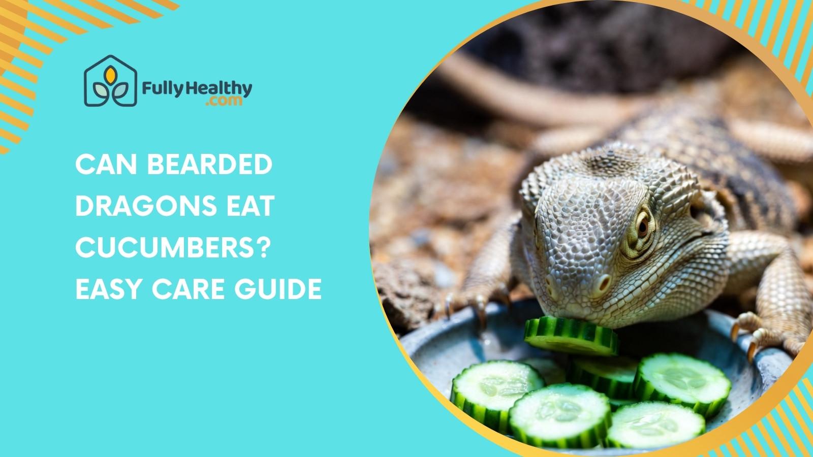 Can Bearded Dragons Eat Cucumbers? Easy Care Guide