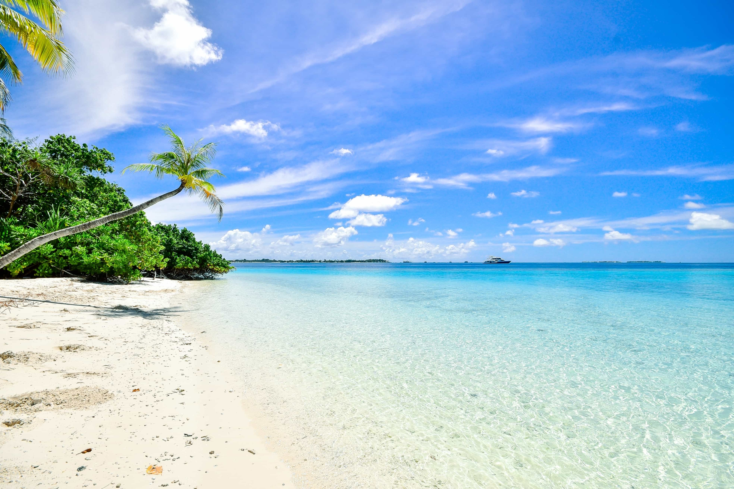 The breathtaking view of the shore with its marvelous beach behind