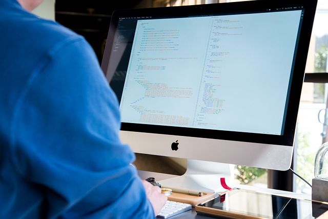 A person in front of a monitor.