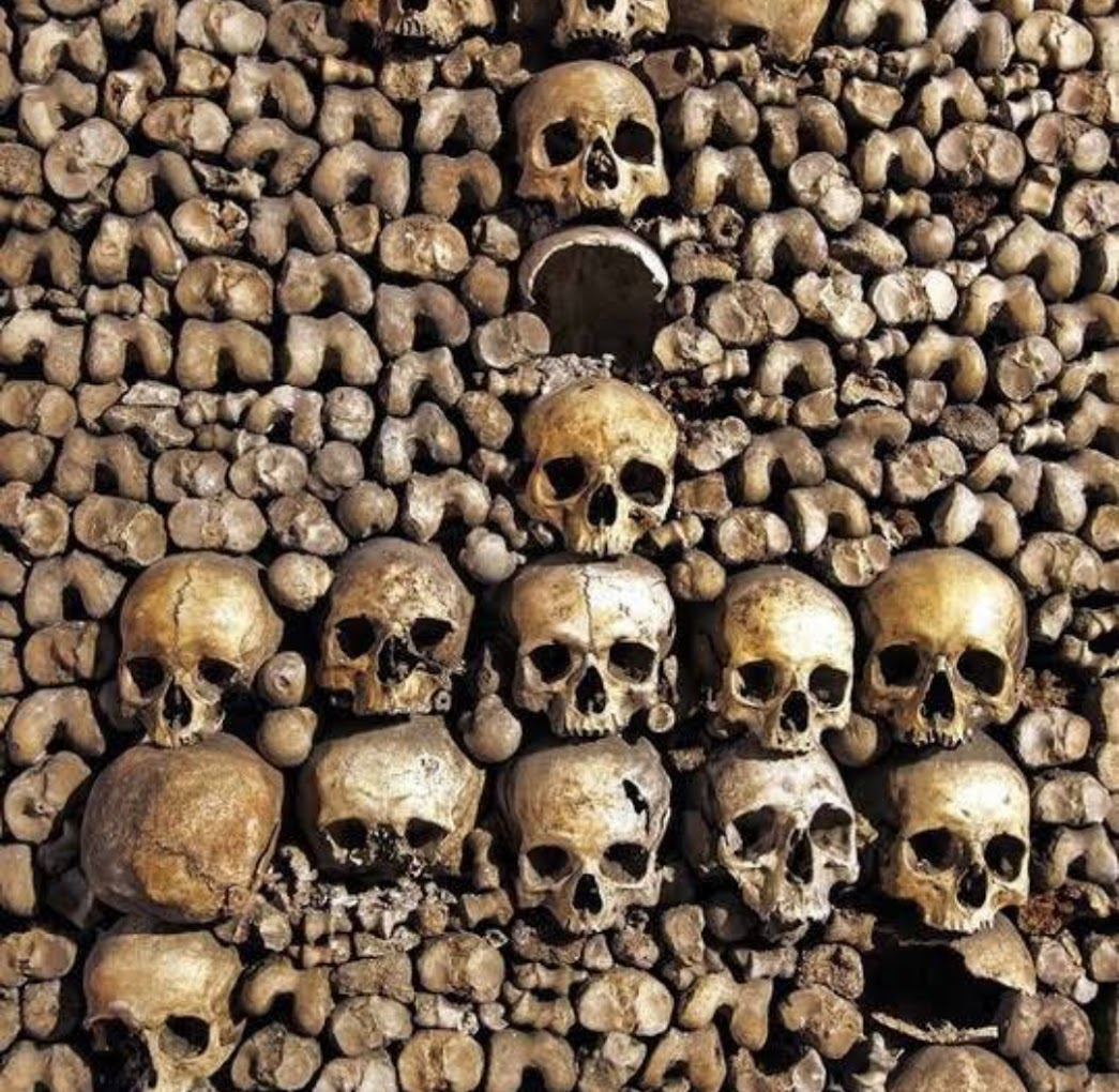 The Catacombs of Paris. 
