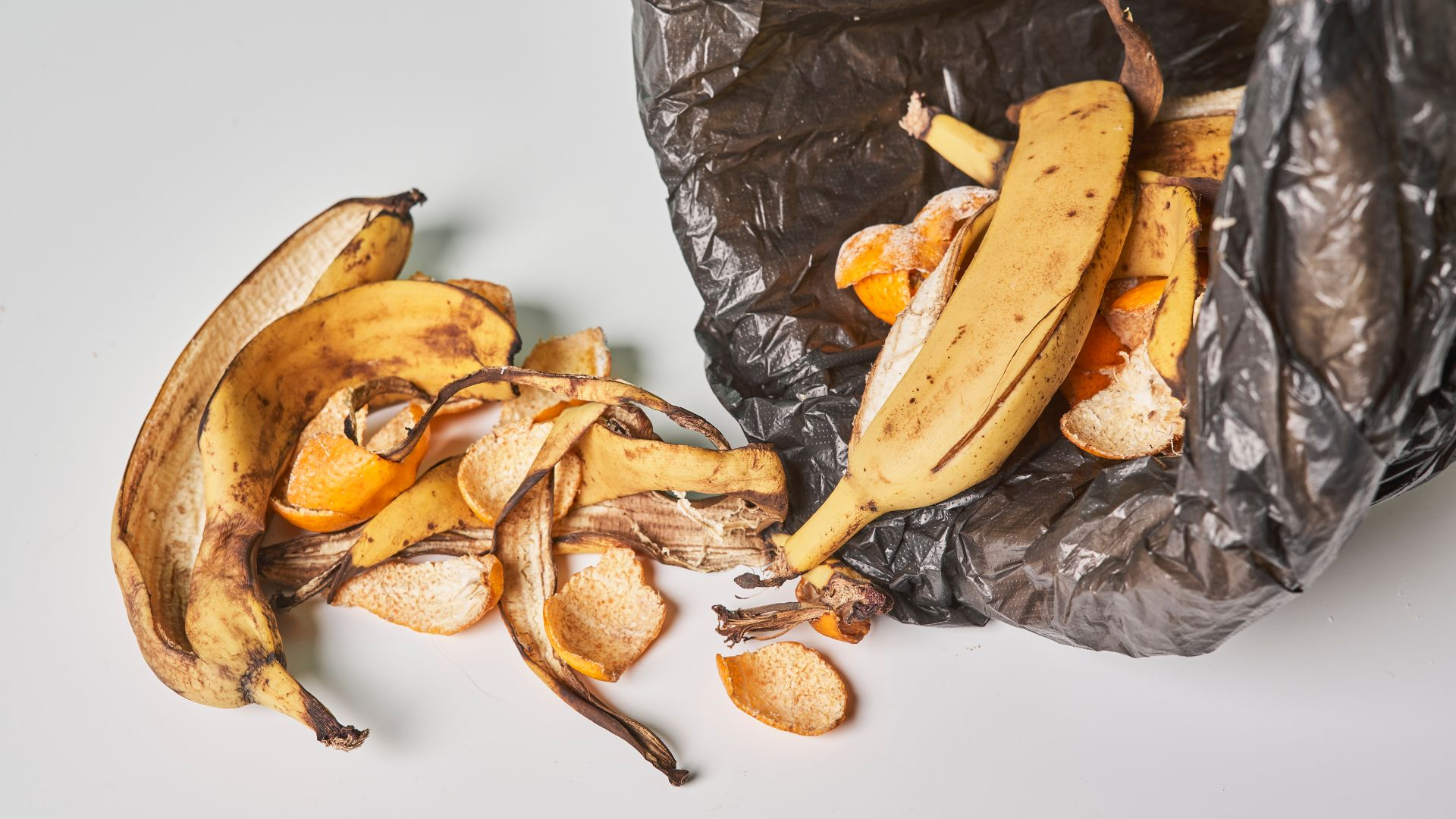 An image of rotten fruits spilling out of a trash can where flies can breed.