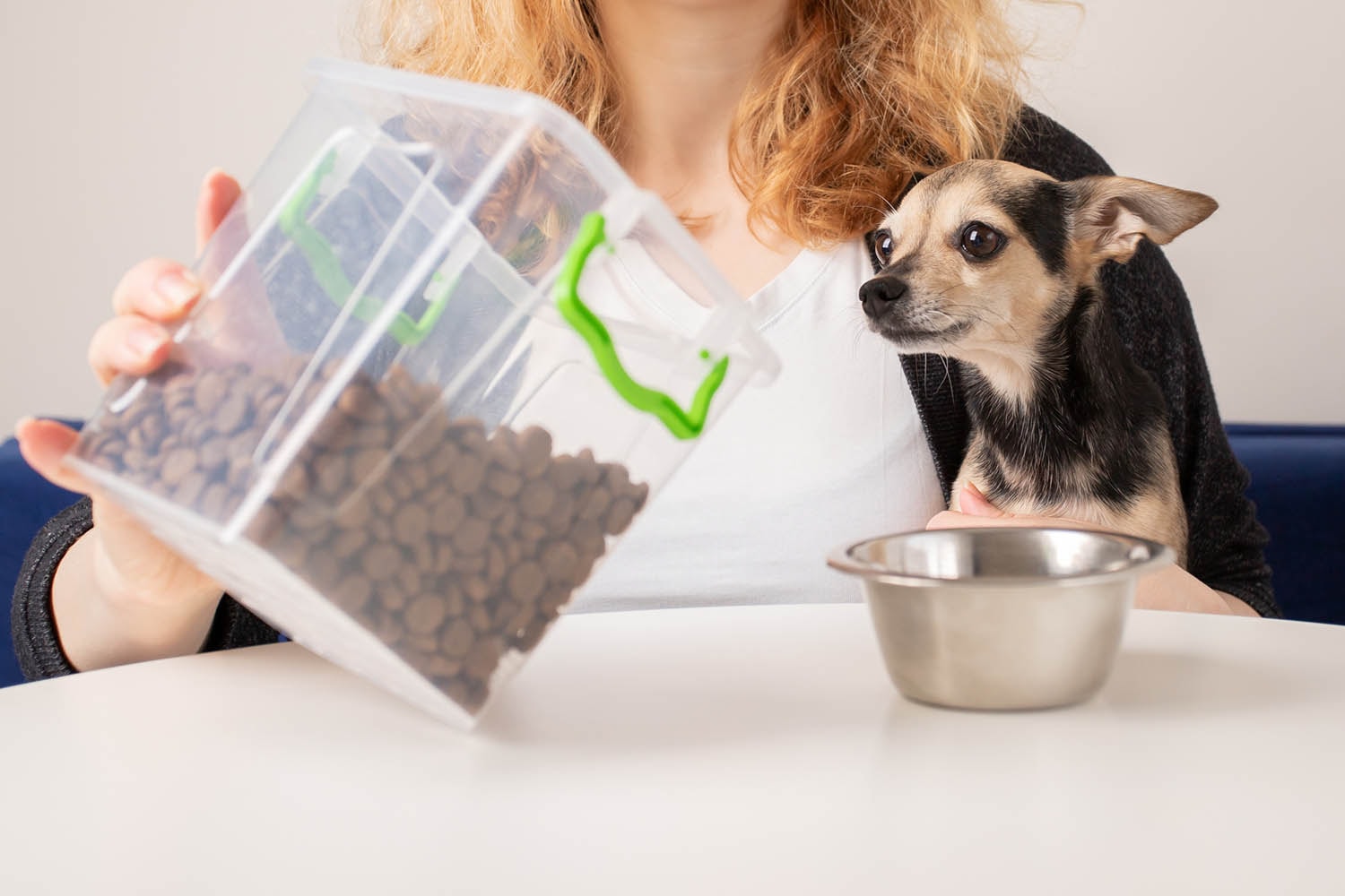 Impact of Contaminated Dog Food