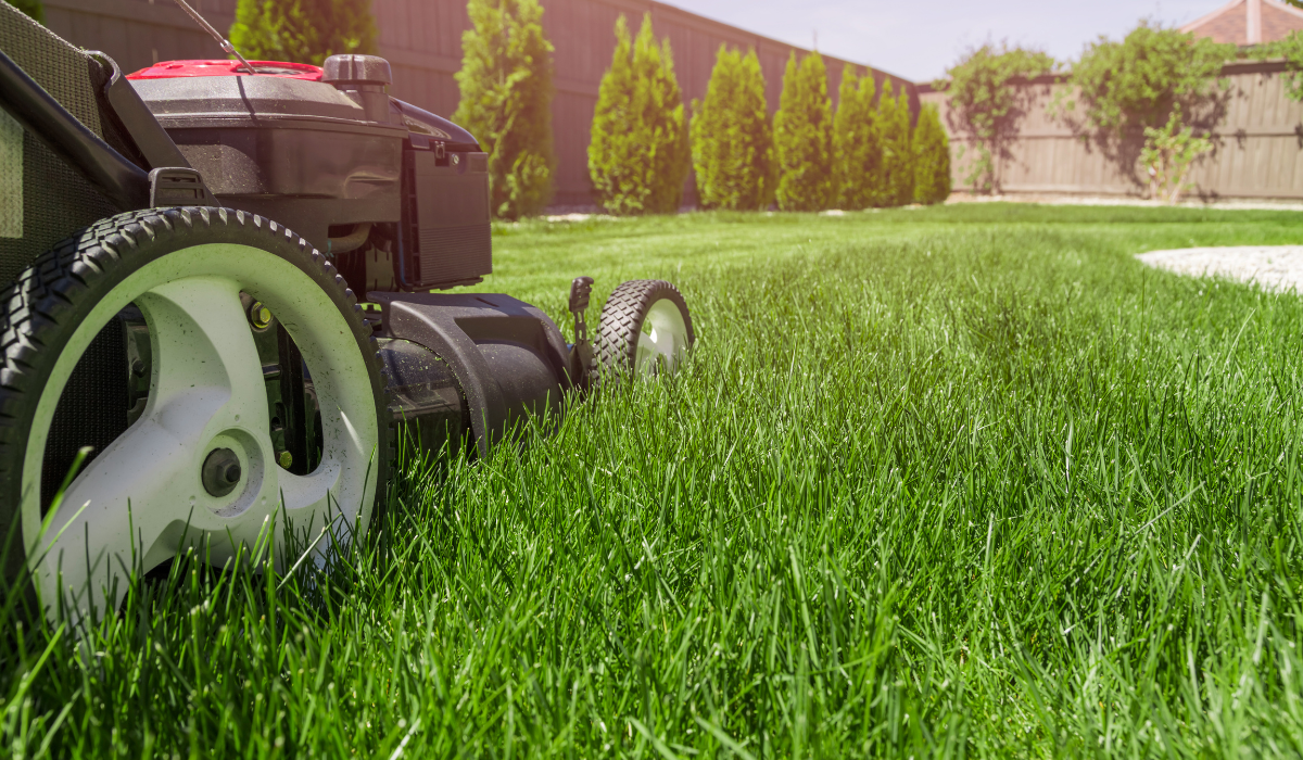 Ground level shot of a mower cutting a lawn