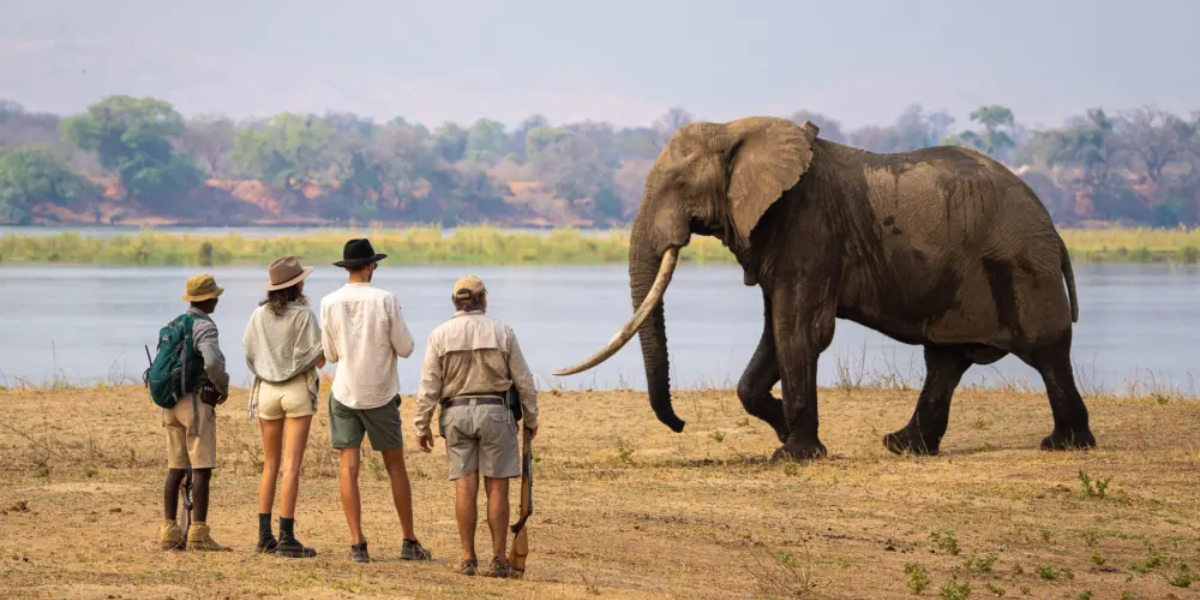 Mana Pools National Park