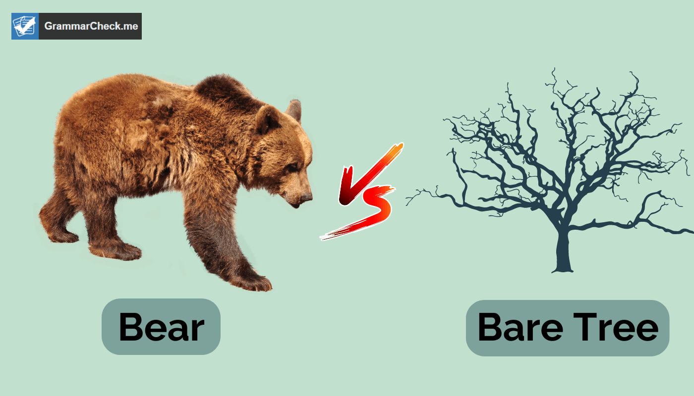 demonstrating the difference between a bear and bare