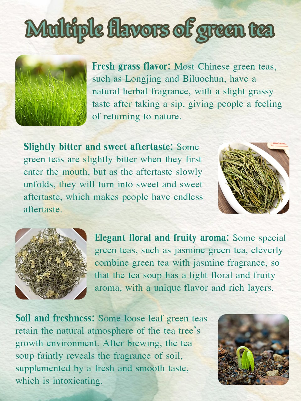 Multiple flavors of green tea