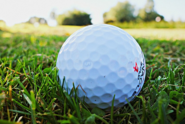 golf ball, golf, golfing