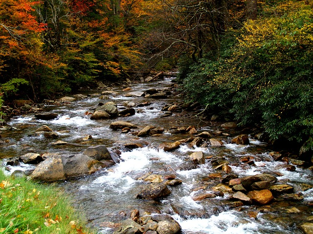 Waterfalls, great smoky mountains, tennessee