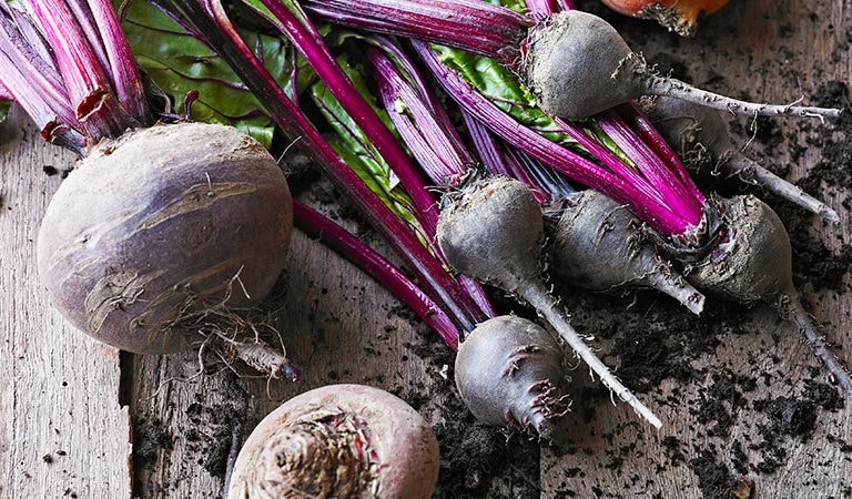 Nutrient-Packed Superfood