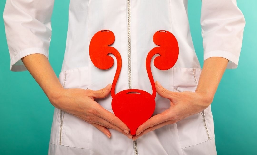 pelvic floor muscle therapy