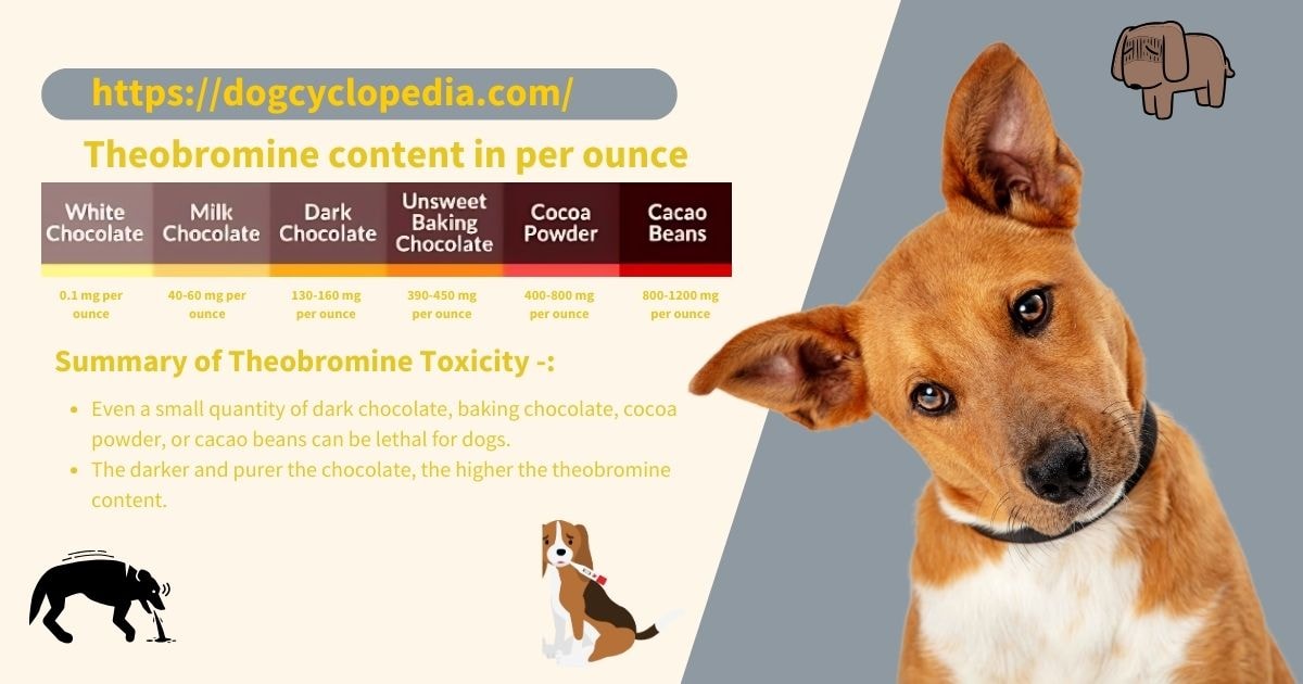 Chart showing theobromine content in various chocolates, with a summary stating even small amounts can be toxic to dogs, especially darker varieties. Features a concerned dog illustration.