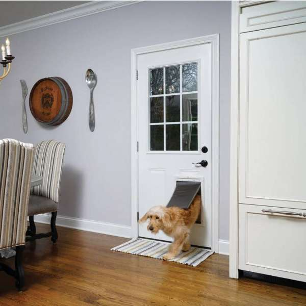 A golden retriever exits through the PetSafe Extreme Weather Pet Door in a white residential door. What are the best types dog doors for energy efficiency and ease of use