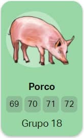 porco no jogo do bicho