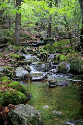 Early spring along a brook in New Hampshire, in northern New England