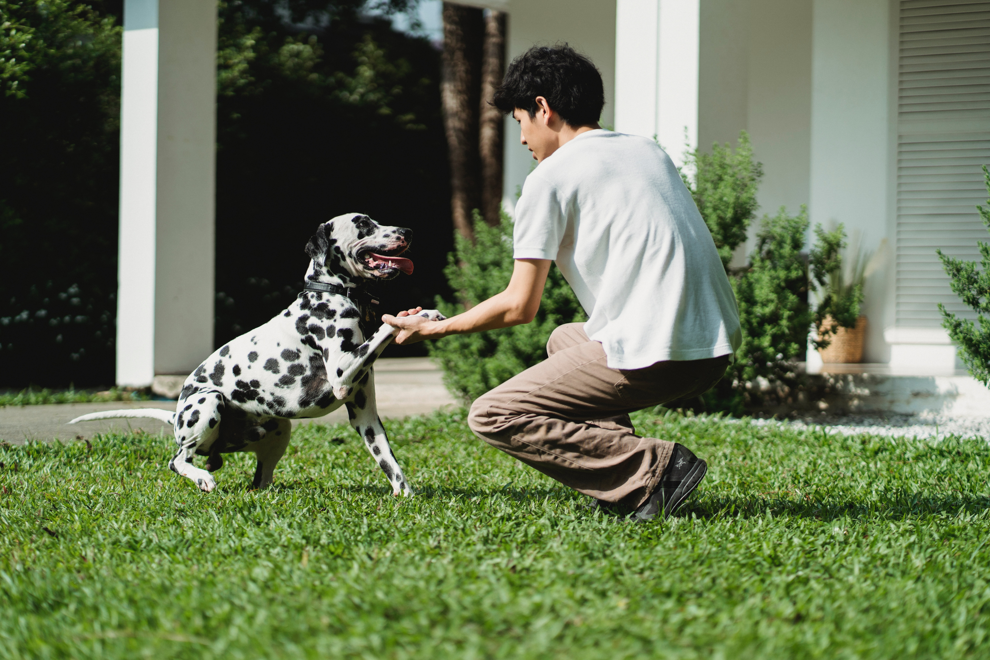 The personality of a dog trainer is a crucial factor for his "students."