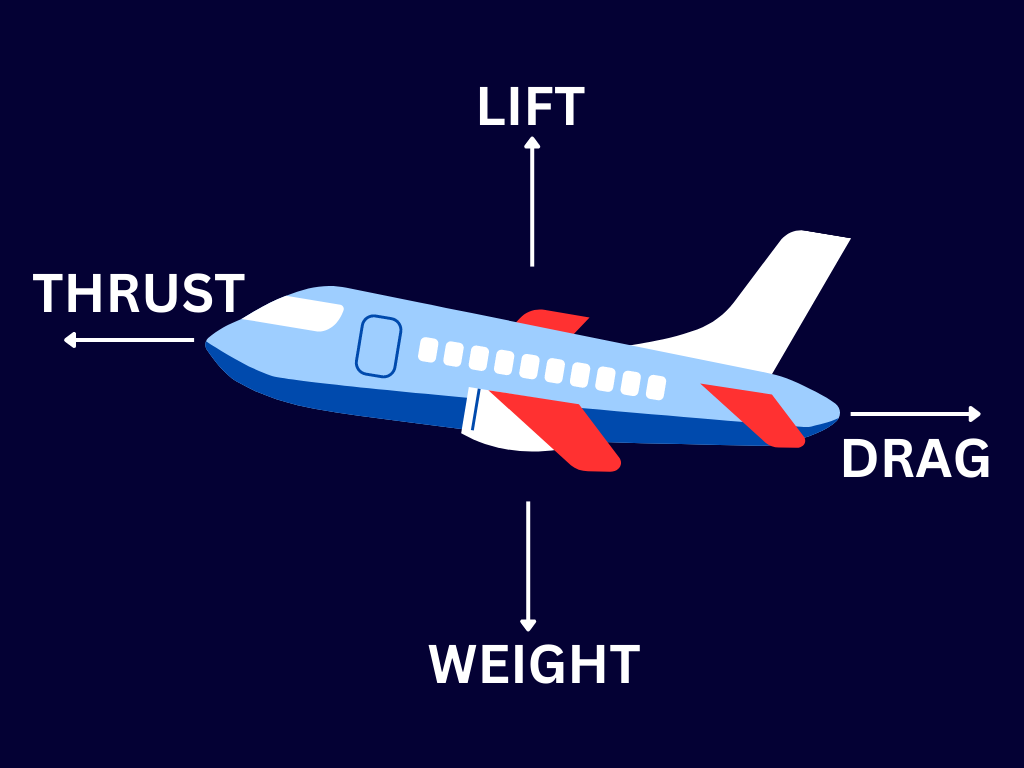 The Four Principles of Flight