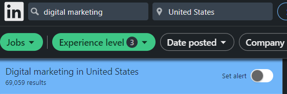 Entry level digital marketing search results in LinkedIn.