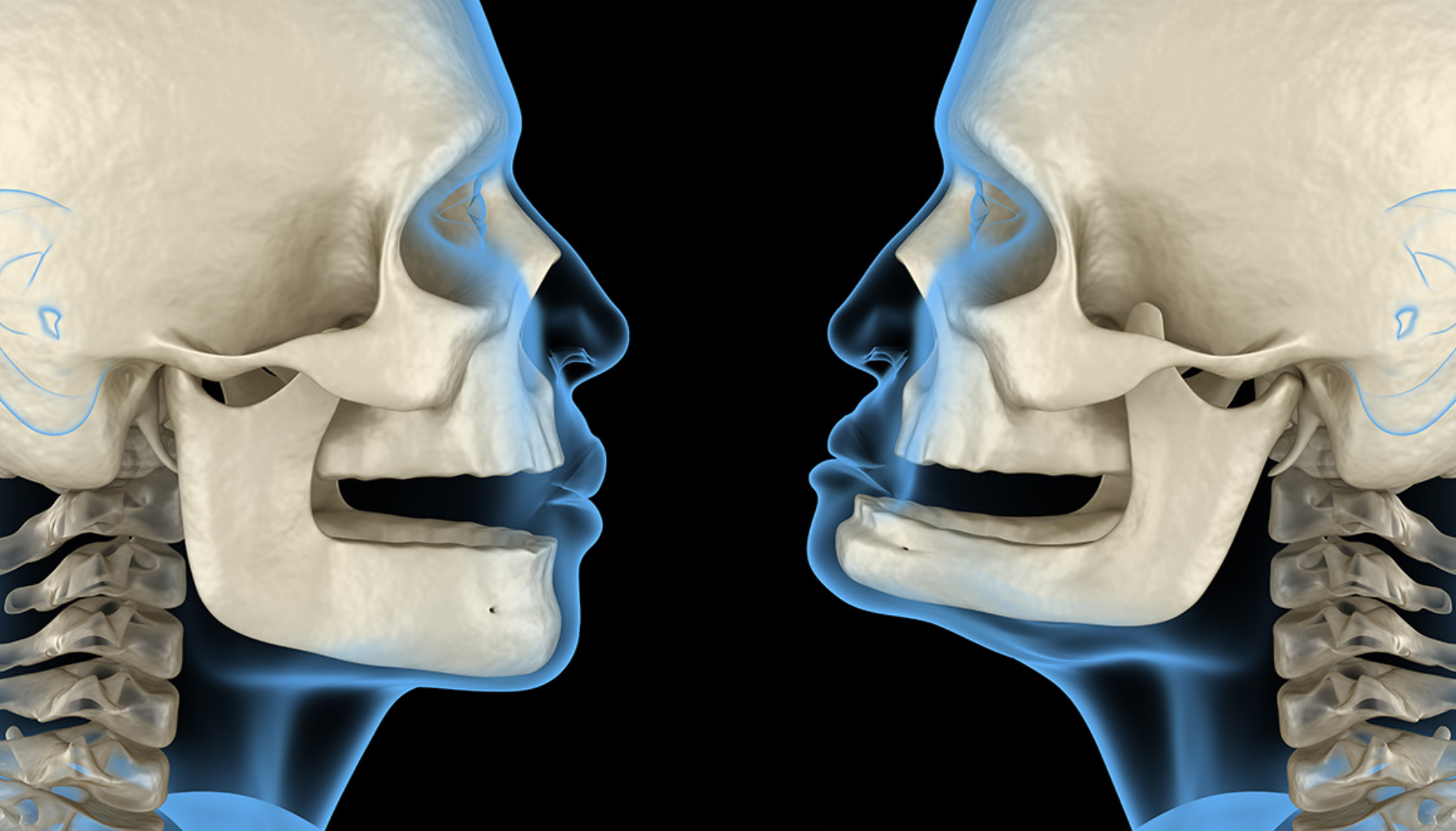 Skjelett og Tenner: Når Beinhelse Påvirker Munnhelsen 12 To hodeskaller i profil med fokus på kjevebevegelse og anatomi, vist med åpne og lukkede munner mot svart bakgrunn.
