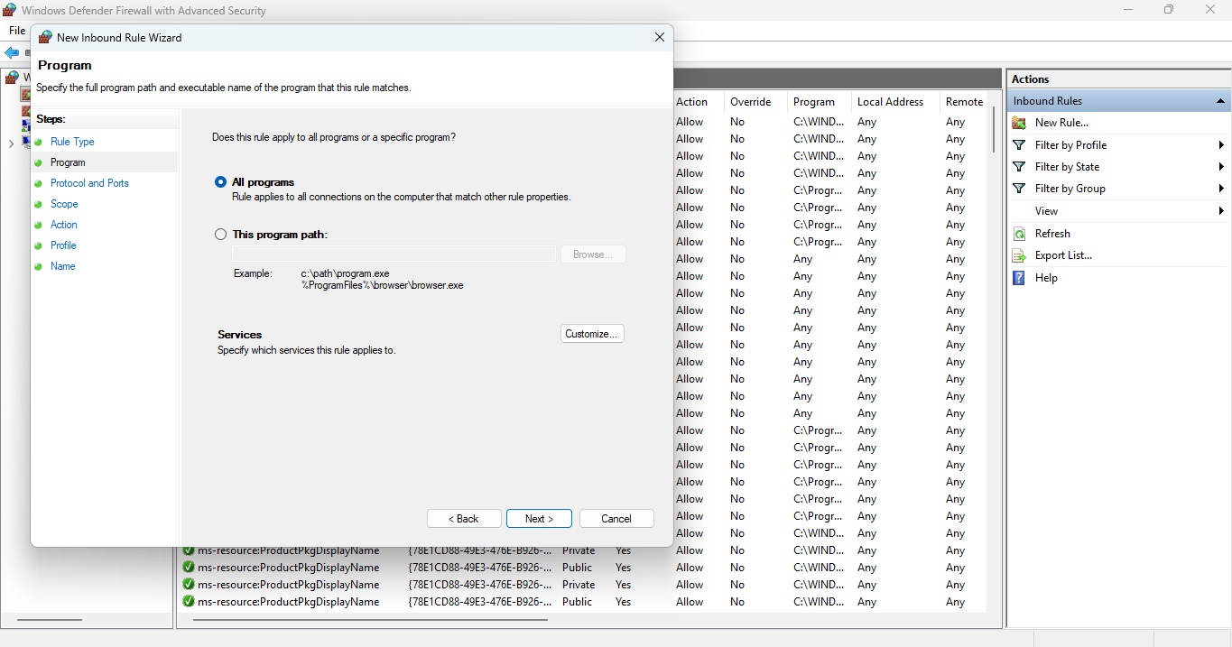 Program page with All programs selected for the firewall rule.
