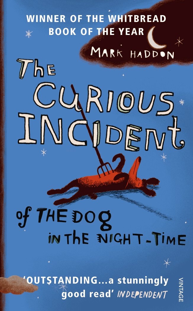 The image depicts a young boy, Christopher Boone, who is the main character in "The Curious Incident of the Dog in the Night-Time" by Mark Haddon. This mystery novel explores his unique perspective and language skills as he investigates the incident of the neighbor's dog, using simple language and descriptive storytelling that can aid English language learners in improving their comprehension skills and vocabulary.