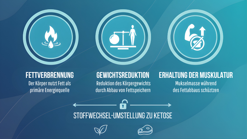 Ein Überblick über die Grundlagen der ketogenen Ernährung