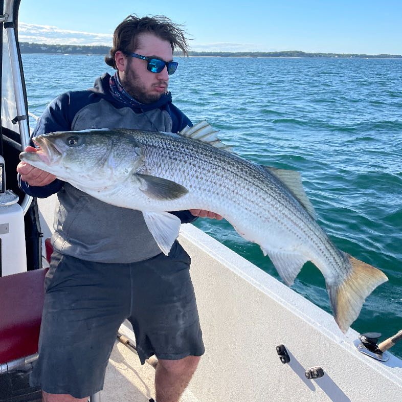 Striped Bass fishing charters in Massachusetts. Charter fishing for Striped  Bass along the shores of Cape Cod.