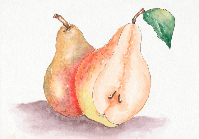 fruits, pears, watercolor painting