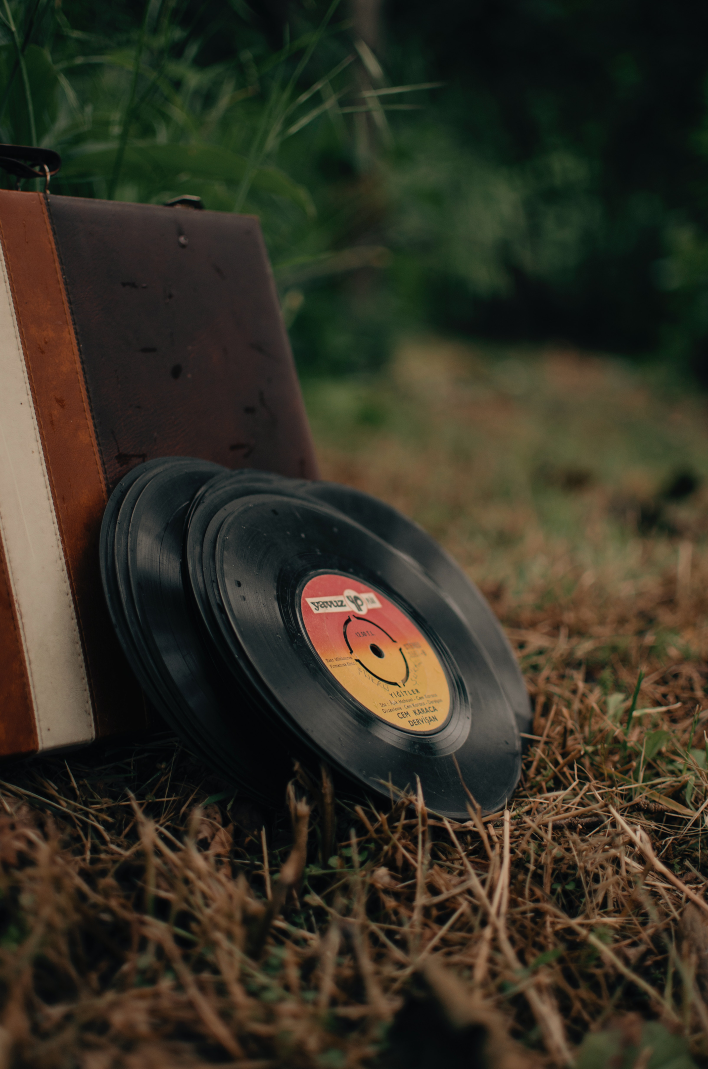 record carrying case, options, vinyl record