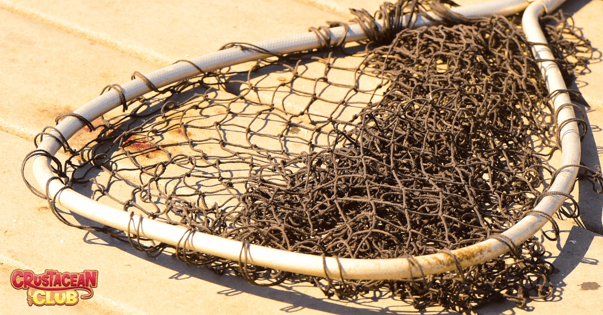 Photo of a bully net