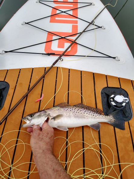 You will catch more fish at your favorite fishing spot and have a huge advantage at all fishing spots when using the fishing inflatable sup O2 Angler by Glide.