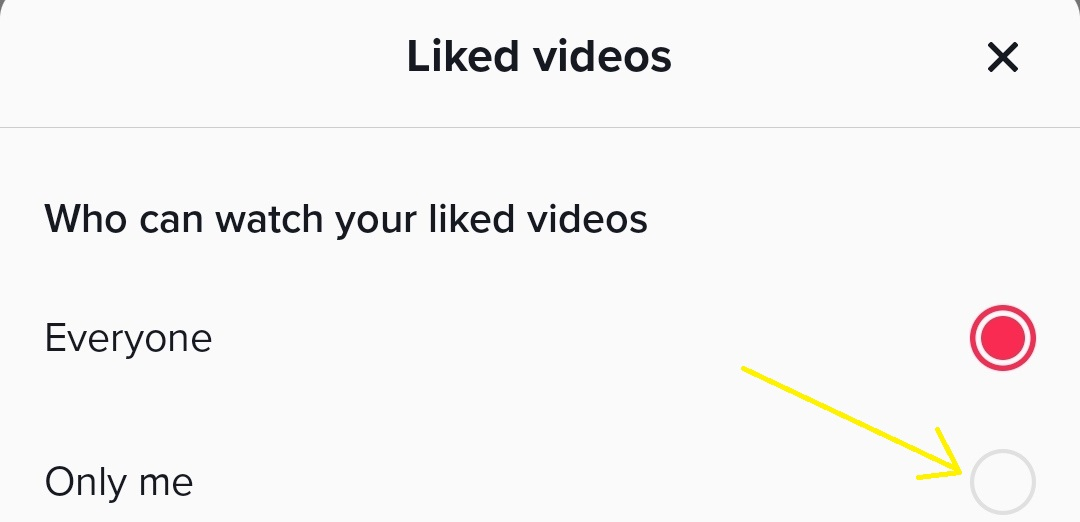 How to See Who Liked Your  Videos - Is It Possible?