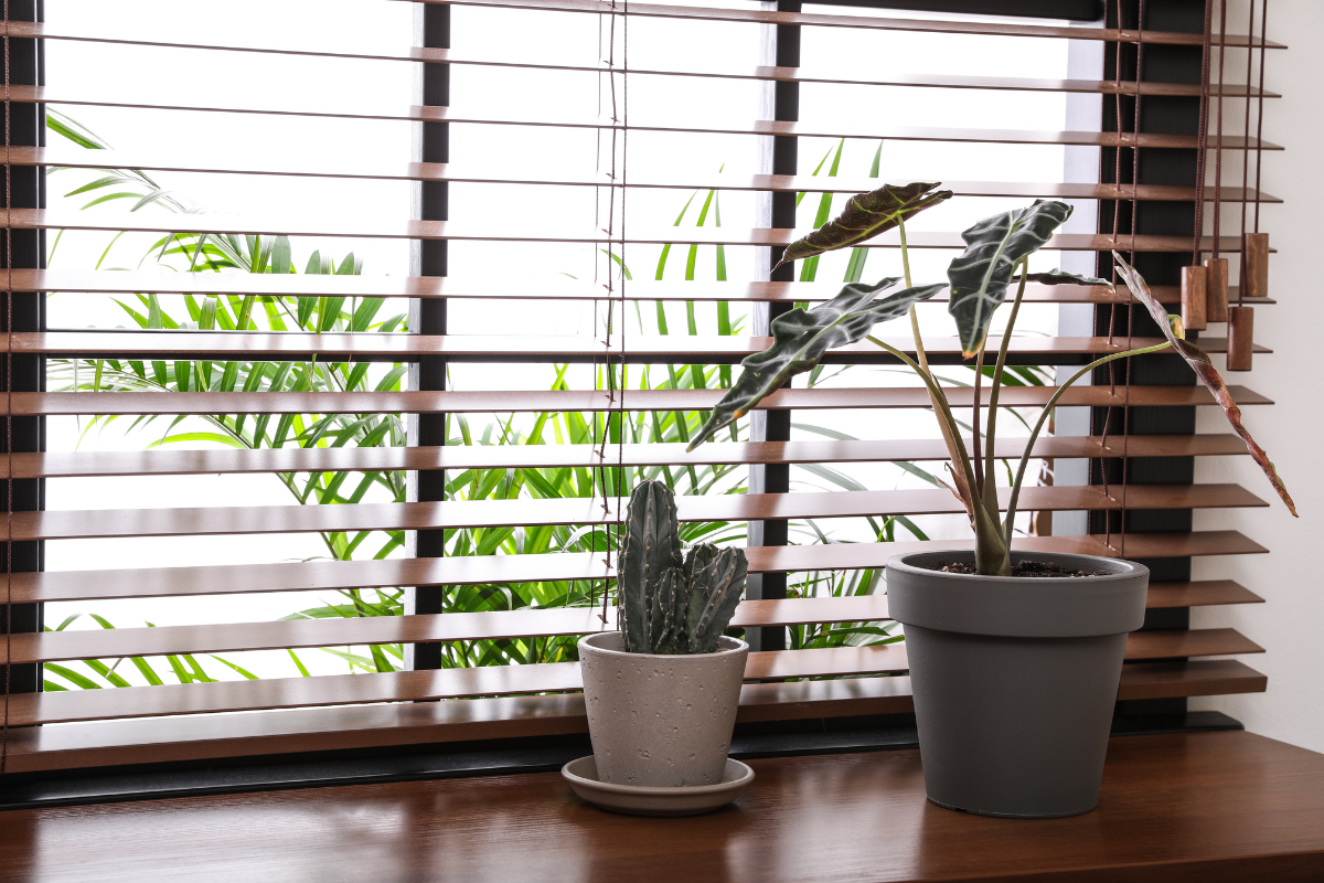 Illustration of a cozy seating area on a windowsill