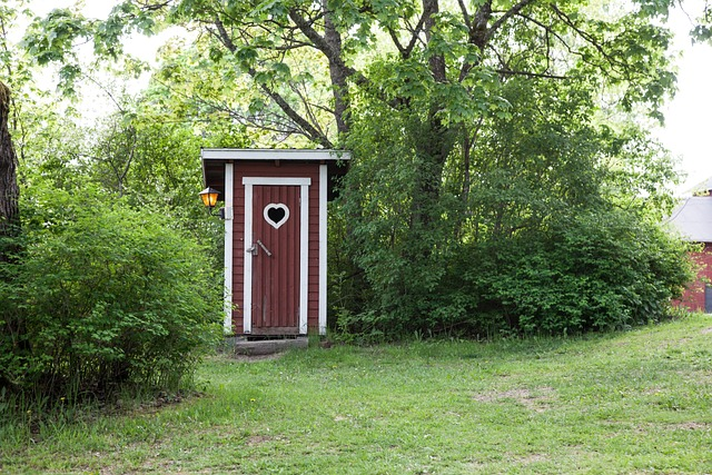 outhouse toilet