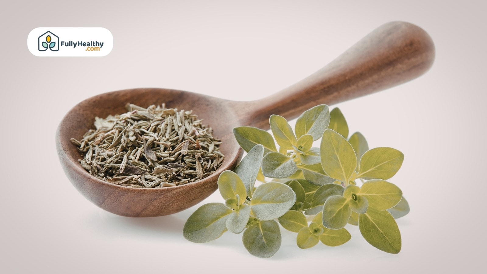 Wooden spoon with dried oregano and fresh leaves on white background