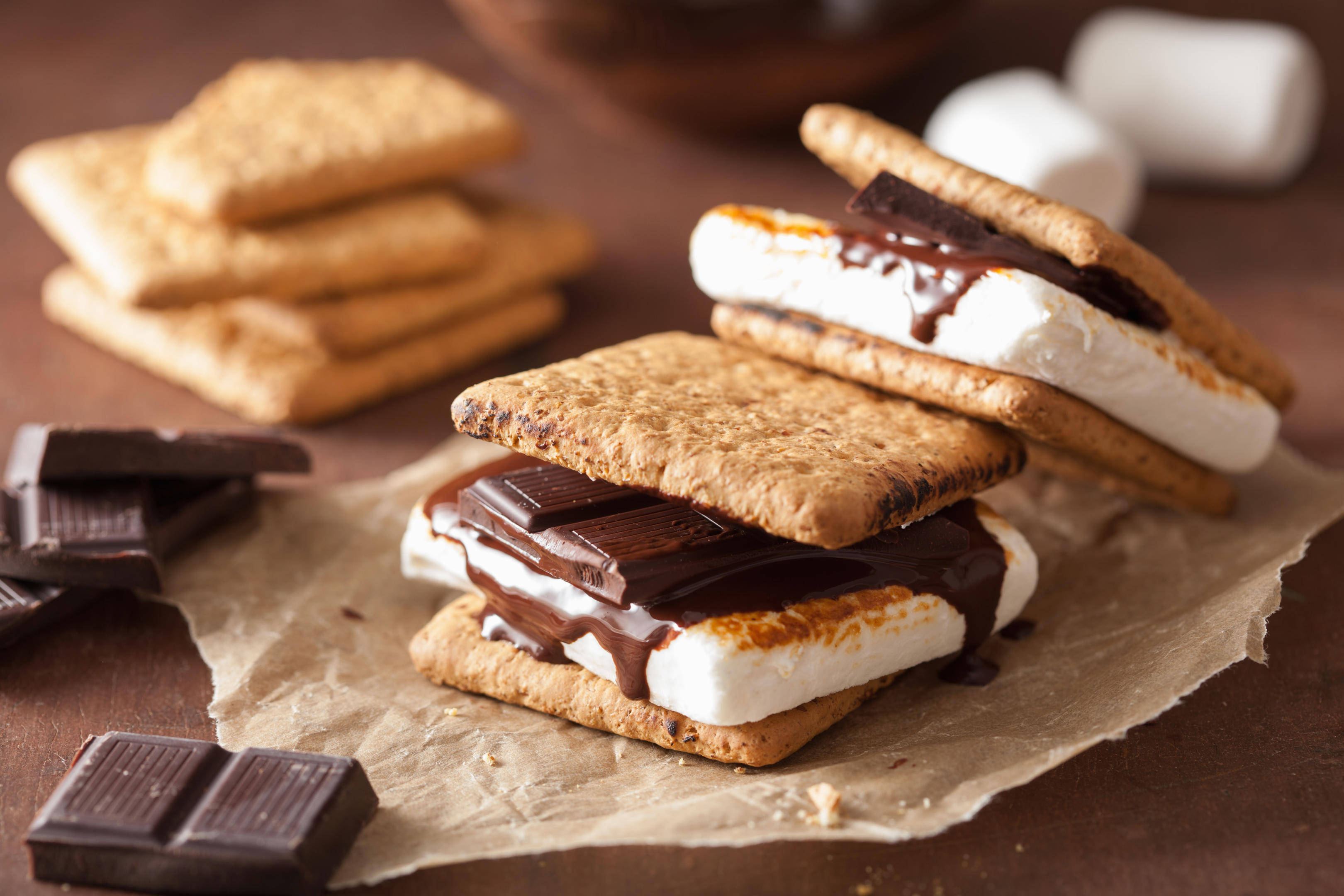 Camping Snacks - Eat Rotten - S'mores