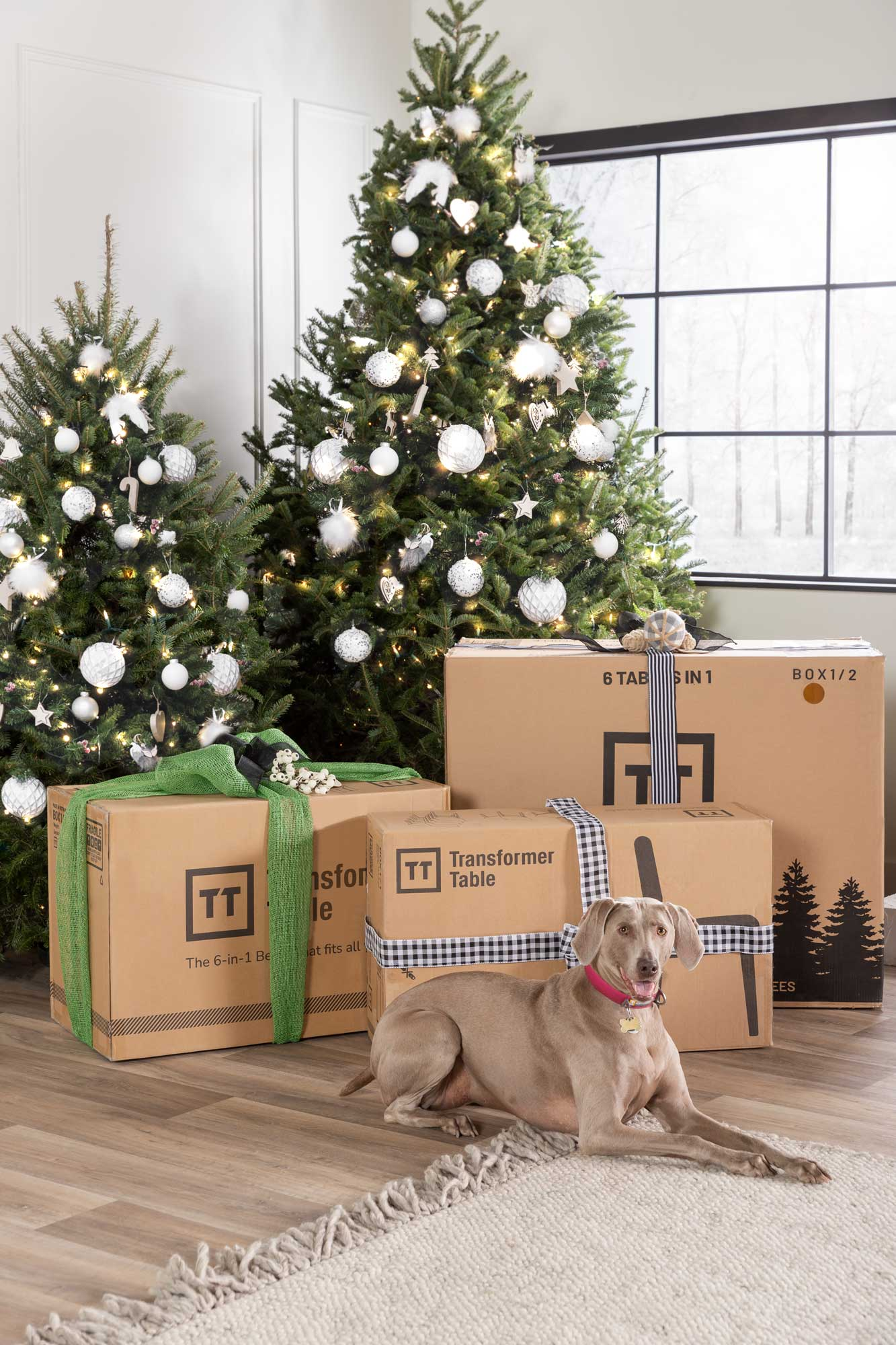 Christmas trees with boxes and a dog