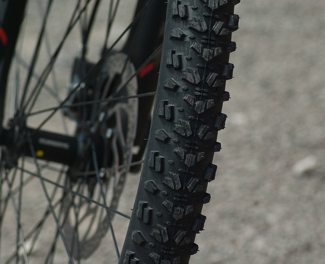 mountain bike wheel and tire