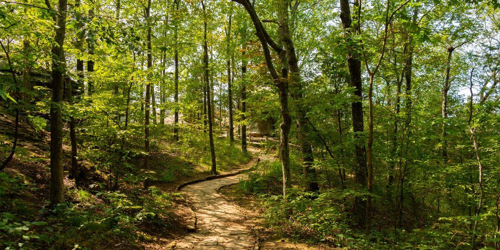 Fun Things to Do on Long Island 15 Hiking Trail Long Island