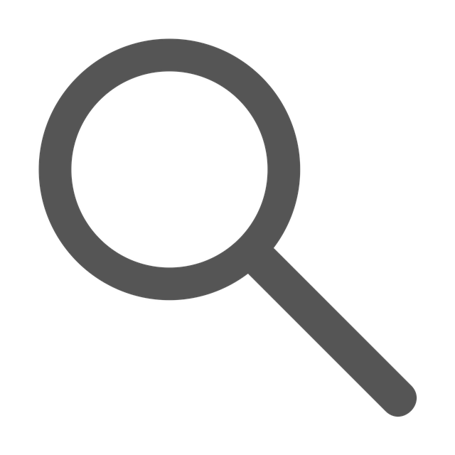 magnifying glass, seek, search bar