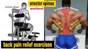 5 erector spinae exercises // How to Get a Strong Low Back - YouTube