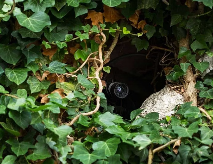 How to best sale hide outdoor camera